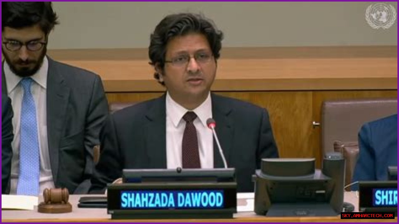 Meet Alina, The Daughter Of Prominent Business Tycoon Shahzada Dawood